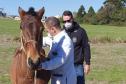 PCPR resgata dois cavalos em situação de maus-tratos em Palmeira