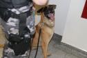 Polícia Científica e BOPE treinam cães de faro para encontrar novas drogas
