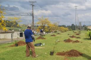 Polícia Penal ajudará a plantar 200 árvores em Ponta Grossa até o fim de setembro