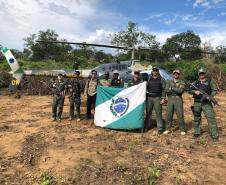 Helicóptero da PM do Paraná localiza plantação que renderia três toneladas de maconha no sertão nordestino
