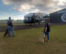 PCPR faz treinamento em aeronaves com cães policiais na Capital
