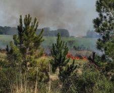 Incêndios ambientais crescem 33% no Paraná no 1.º trimestre