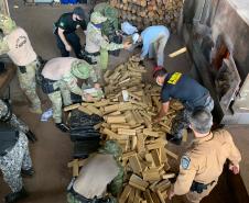 Na semana do combate ao tráfico de drogas, 15 toneladas de drogas apreendidas pela Operação Hórus são incineradas no Paraná