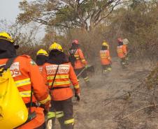 Bombeiros do Paraná completam dez dias de combate a incêndios no Pantanal
