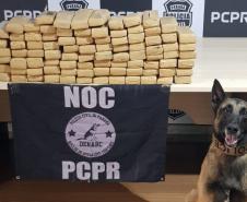 Polícia Civil apreende 107 quilos de drogas em operação com cães farejadores no Oeste