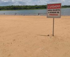 Bombeiros reforçam alertas sobre ataques de piranhas nas praias da Costa Oeste