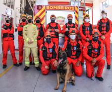 Primeiro grupo de bombeiros paranaenses e cães de faro viaja para Petrópolis