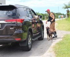 Cães da Polícia Rodoviária Estadual ajudam a garantir Carnaval mais seguro no Litoral