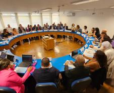Comissão Interfederativa de Políticas sobre Drogas tem 1ª reunião para discutir melhorias 