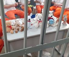 Penitenciária Estadual de Foz do Iguaçu II oferece tratamento penal especializado