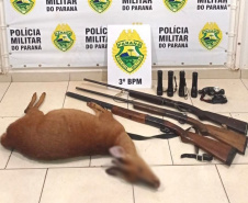 Dupla que praticava caça ilegal é presa com armas e animal abatido, em Pato Branco