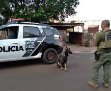 Batalhão de Polícia Rodoviária apreende 550 kg de maconha e recupera veículo roubado em Chopinzinho no Paraná