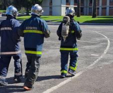 Corrida do Fogo: bombeiros do Paraná encaram desafio solidário neste sábado