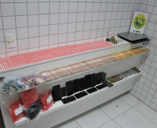 PMPR desmantela ponto de tráfico de drogas no bairro Tabuleiro em Matinhos