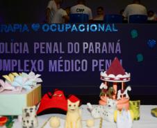 Programa de Terapia Ocupacional auxilia no desenvolvimento de apenados do Complexo Médico Penal