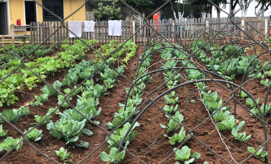 Modernização e profissionalização marcam os 112 anos do sistema prisional do Paraná