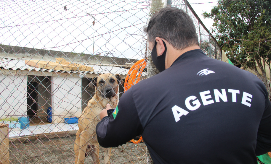 Modernização e profissionalização marcam os 112 anos do sistema prisional do Paraná