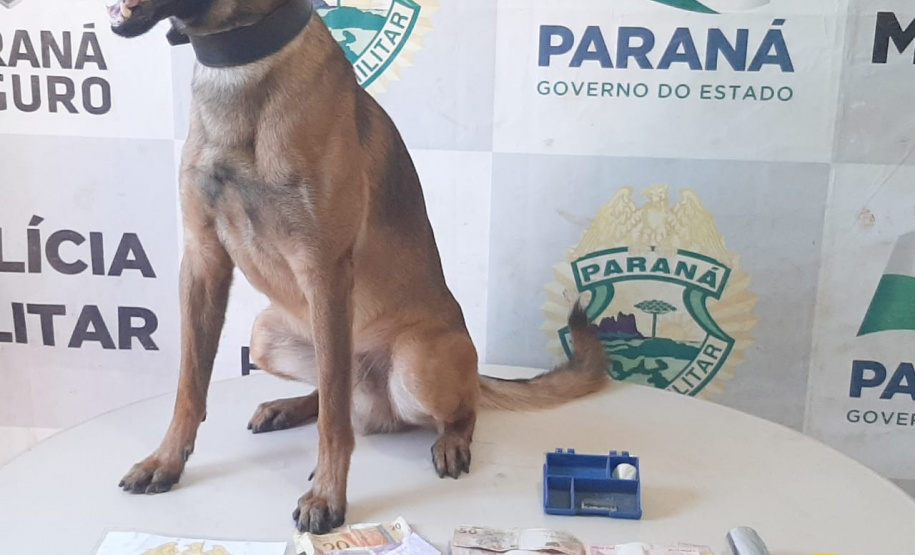 PM, Depen e Ministério Público cumprem mandados judiciais no Noroeste paranaense contra o crime organizado