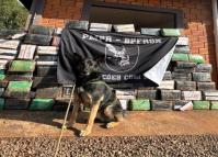 Com apoio de cão, PM apreende 1,5 tonelada de maconha em Santa Helena