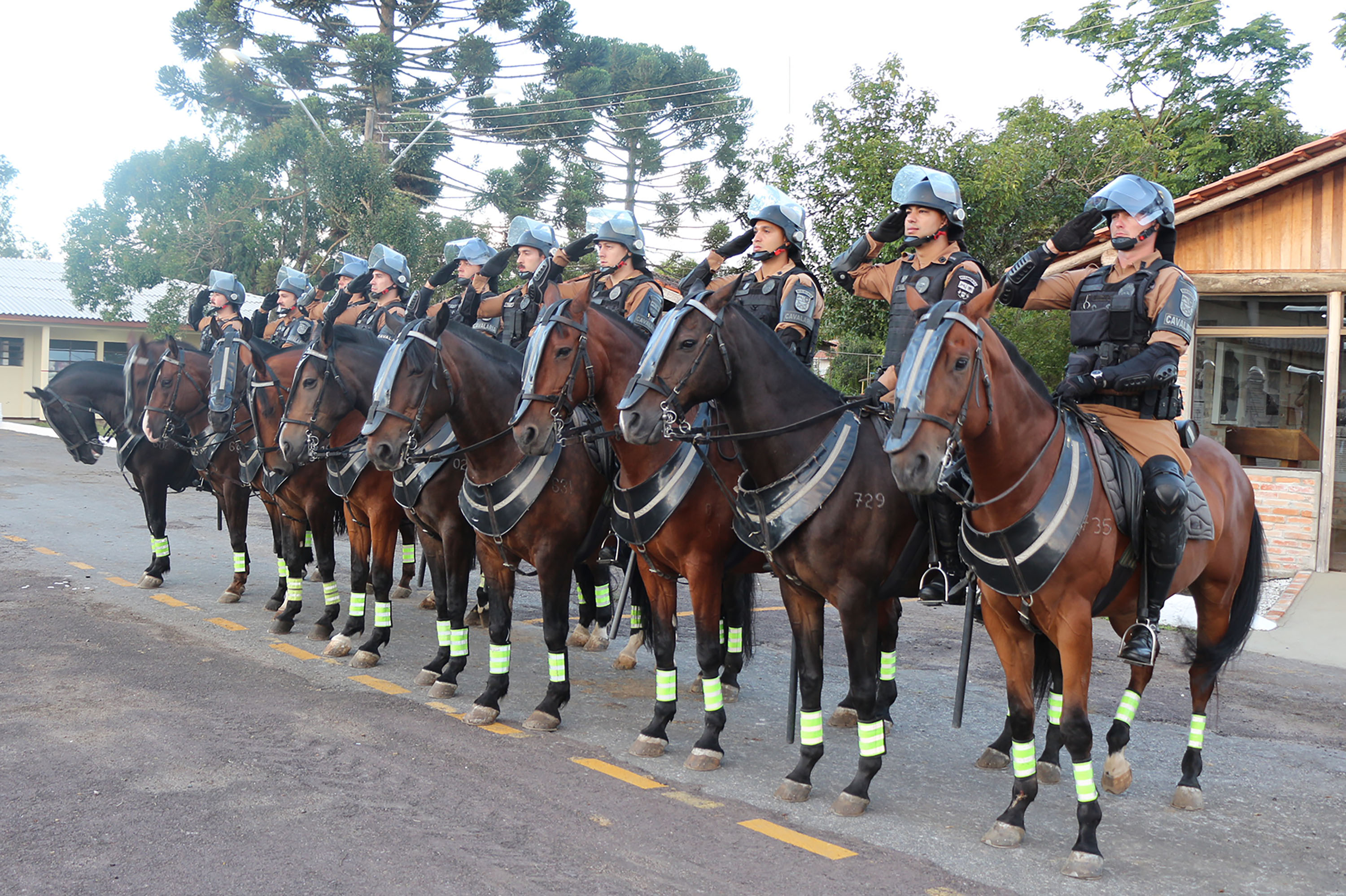 Polícia Militar do Distrito Federal - Sempre haverá uma Cavalaria:  Regimento de Polícia Montada completa 38 anos