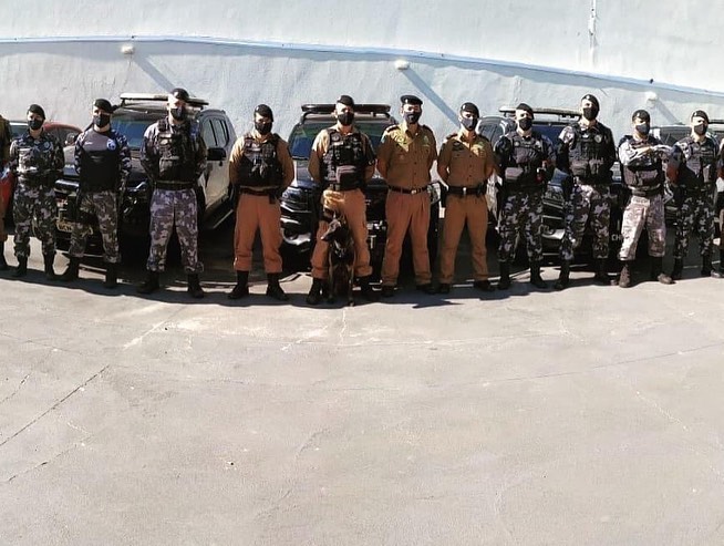 Canil do BOPE distribui filhotes para canis de unidades do Interior do estado