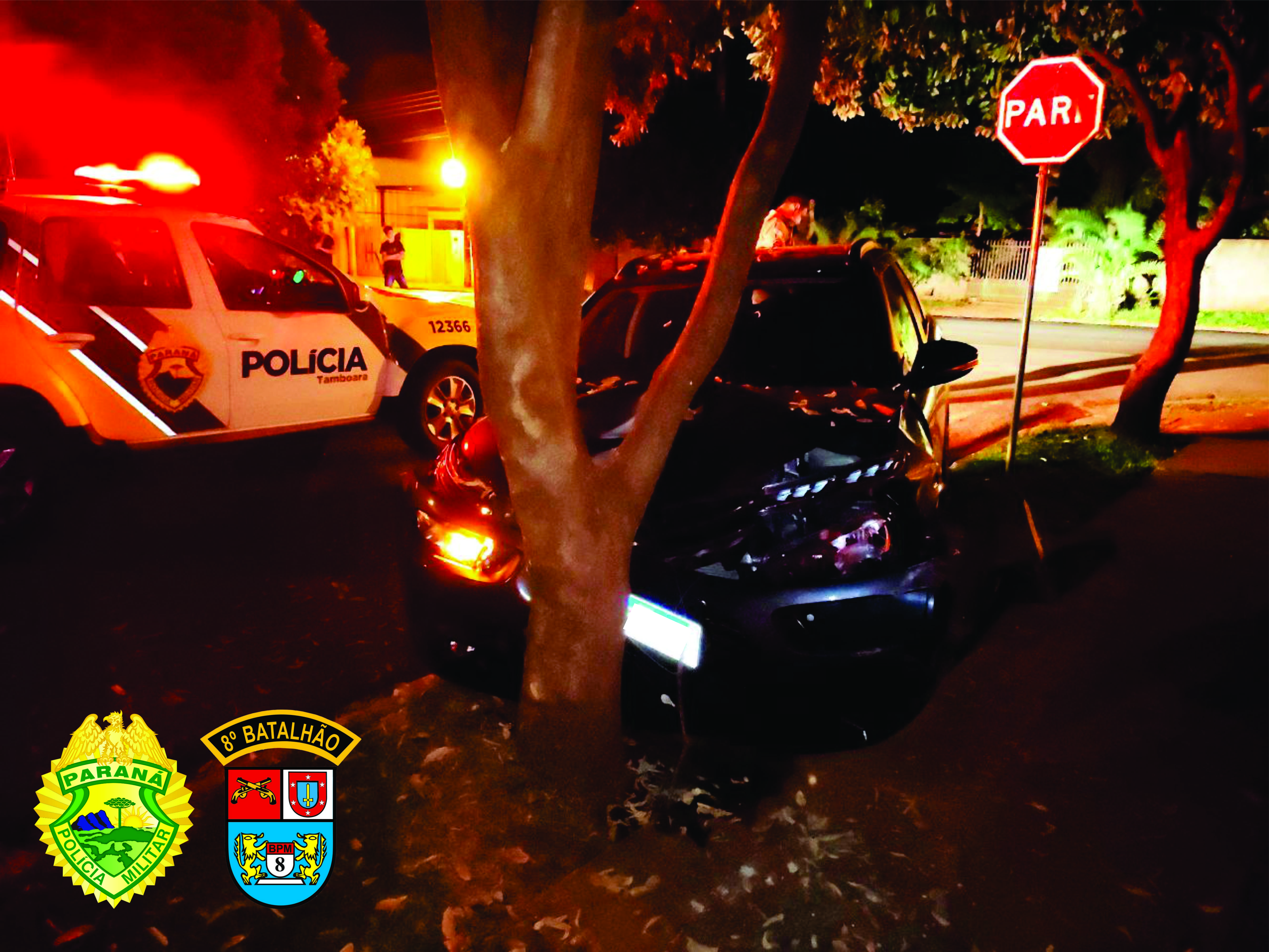 PM apreende mais de 200 quilos de maconha em São Carlos do Ivaí, no Noroeste do estado