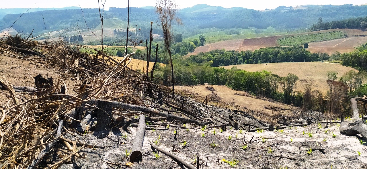 Multas por crimes ambientais somam R$ 2,5 milhões em oito dias