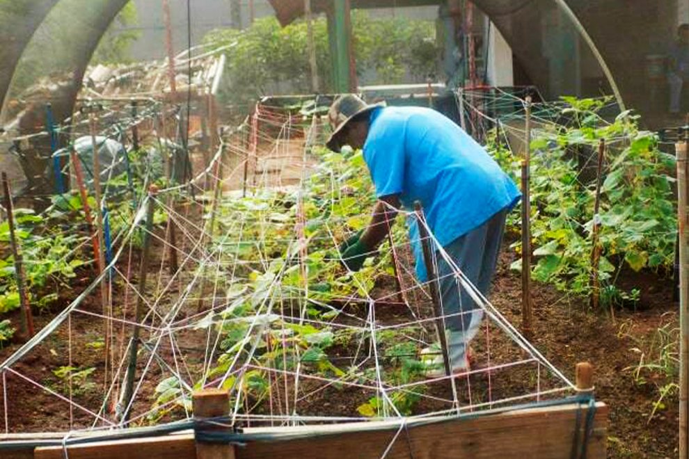 Com 60% dos presos trabalhando, Penitenciária Estadual de Maringá estimula ressocialização