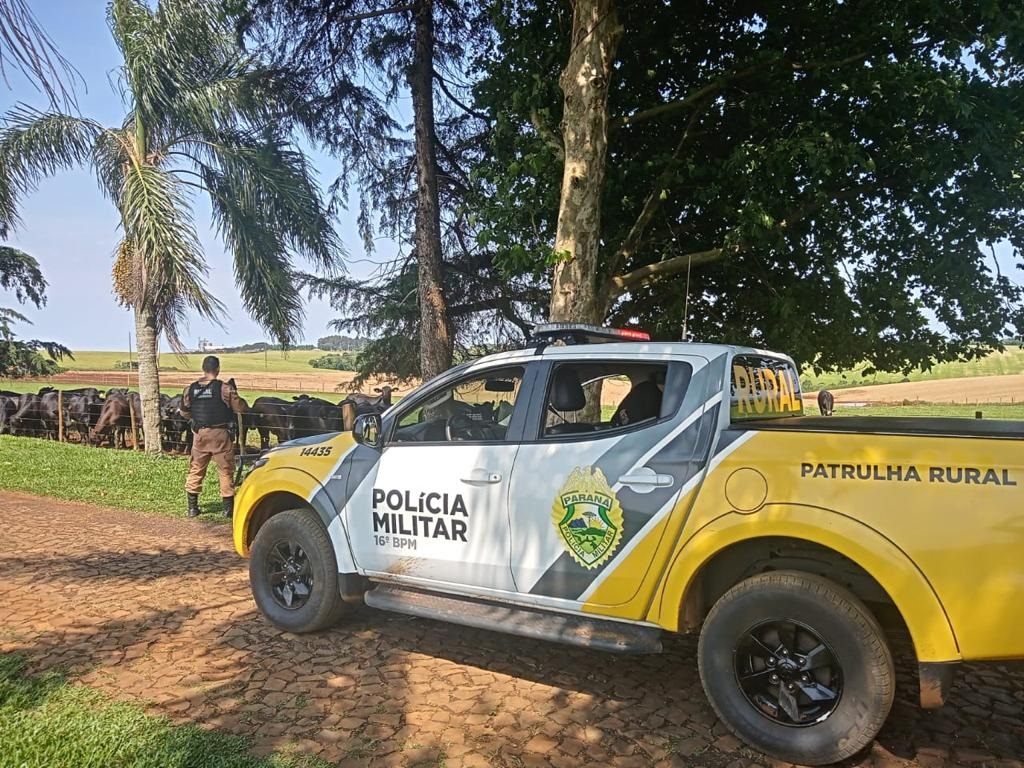 Operação Segurança Rural prende mais de 100 pessoas e apreende 32 armas em ambientes rurais