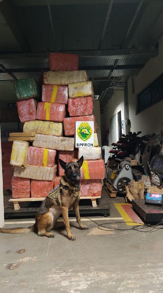 PMPR apreende mais de uma tonelada de droga em Marechal Cândido Rondon