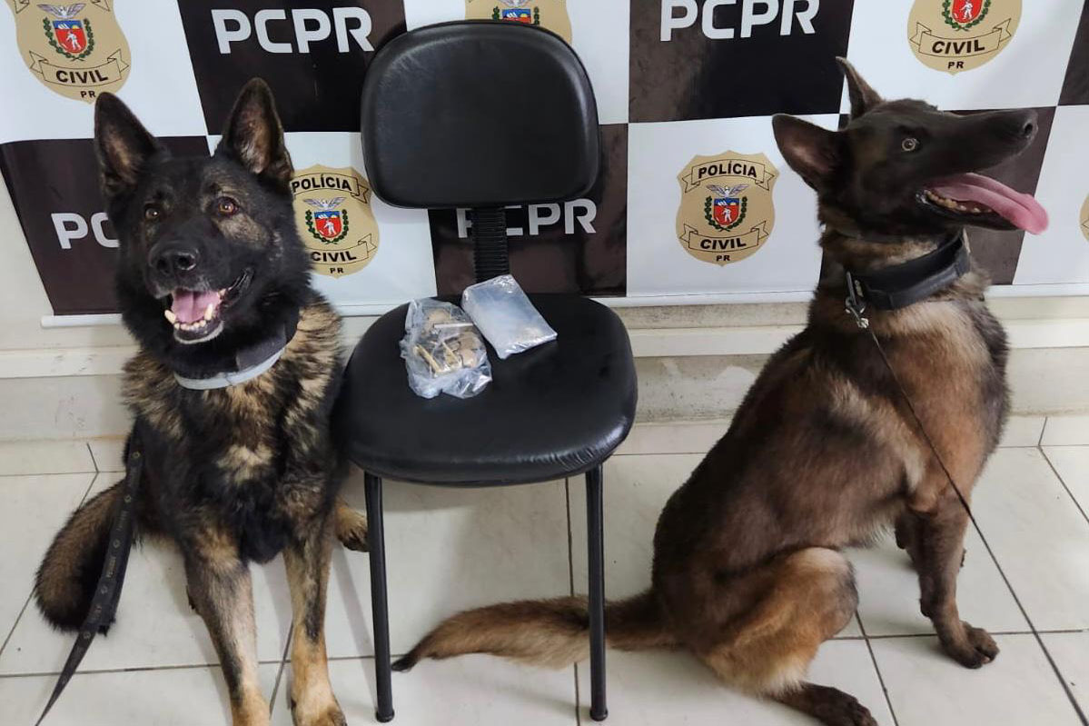 PCPR prende três pessoas em operação contra tráfico de drogas e falsificação de dinheiro