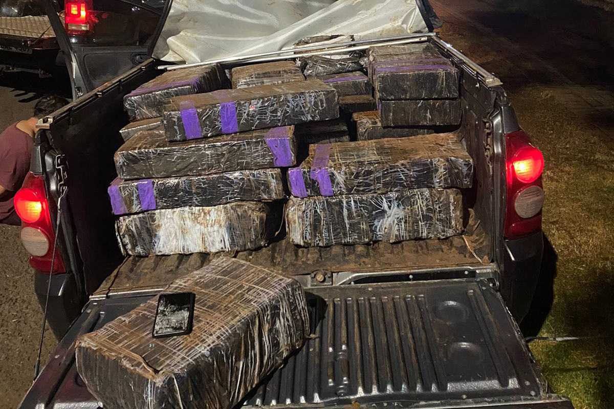 Apreensão de maconha aumenta 64% no Paraná nos primeiros cinco meses de 2023