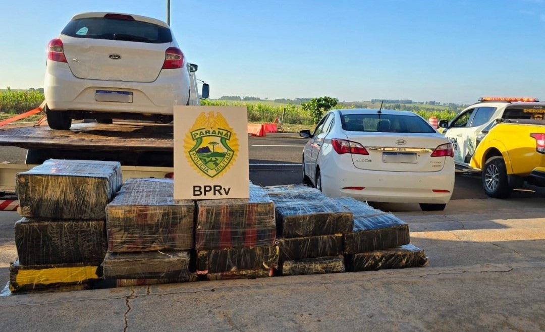 Batalhão de Polícia Rodoviária apreende 255 quilos de maconha