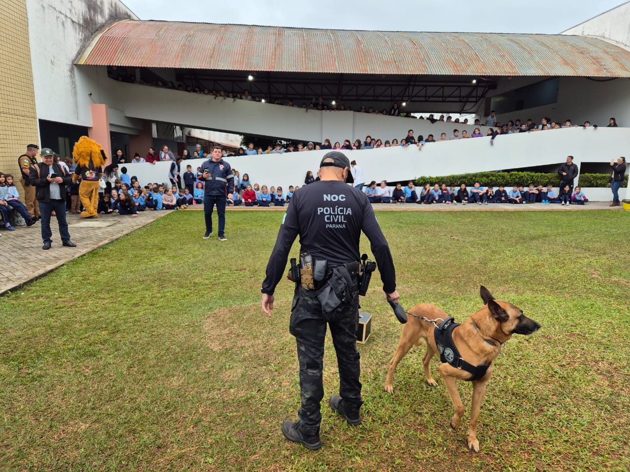 PCPR atende 5 mil pessoas em ações de conscientização sobre o uso de drogas