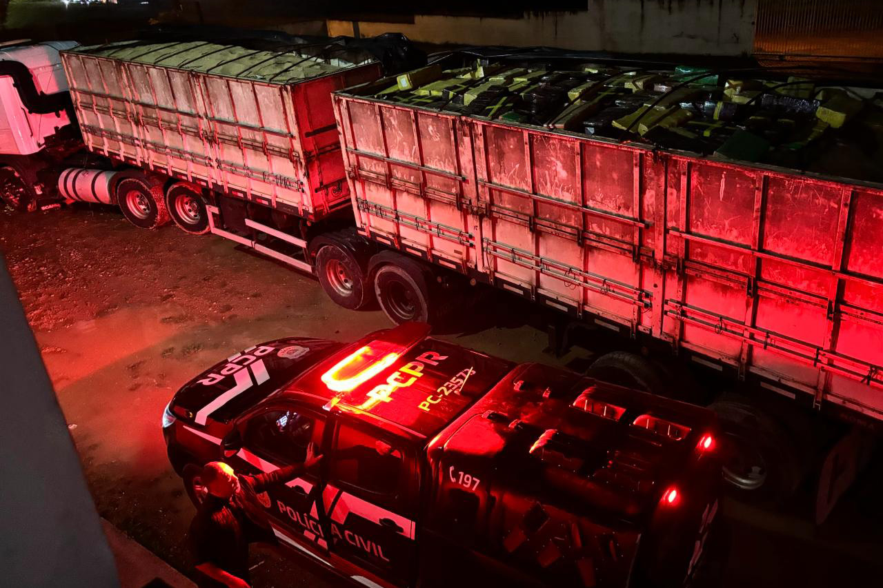 Combate ao tráfico: apreensões de maconha e cocaína crescem no Paraná no 1º semestre