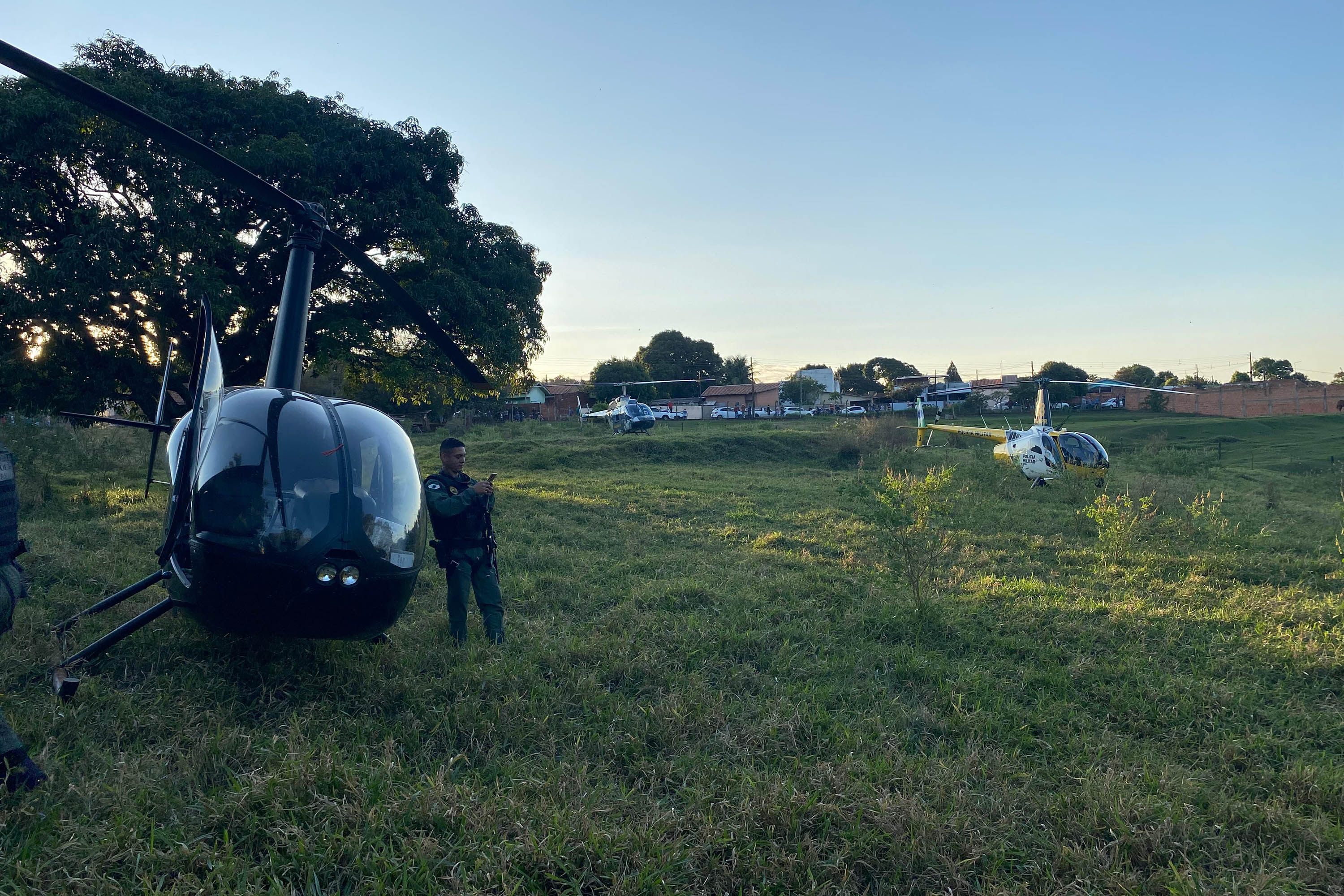 Combate ao tráfico: apreensões de maconha e cocaína crescem no Paraná no 1º semestre