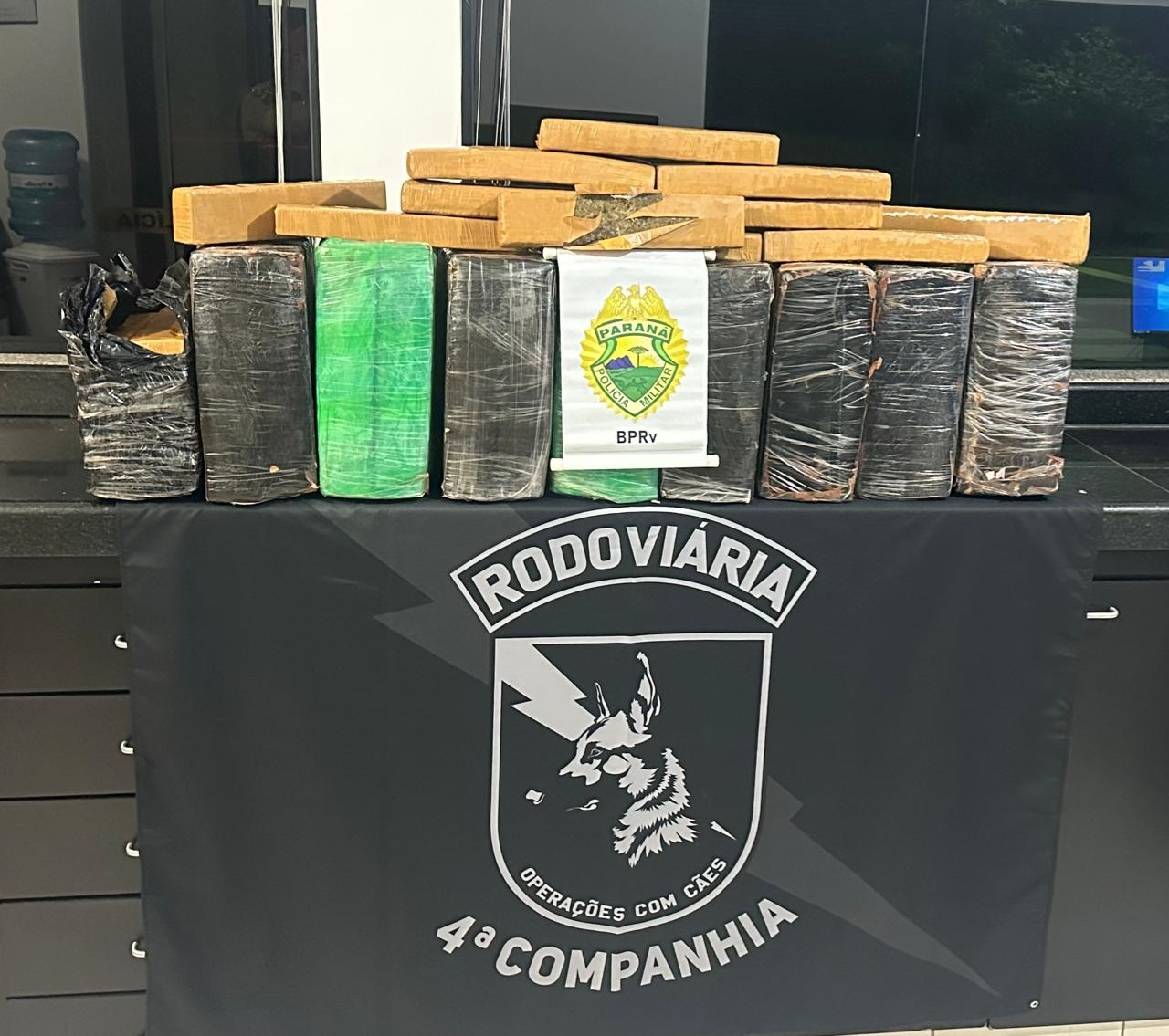 PMPR apreende mais de 200 quilos de maconha em Cruzeiro do Oeste
