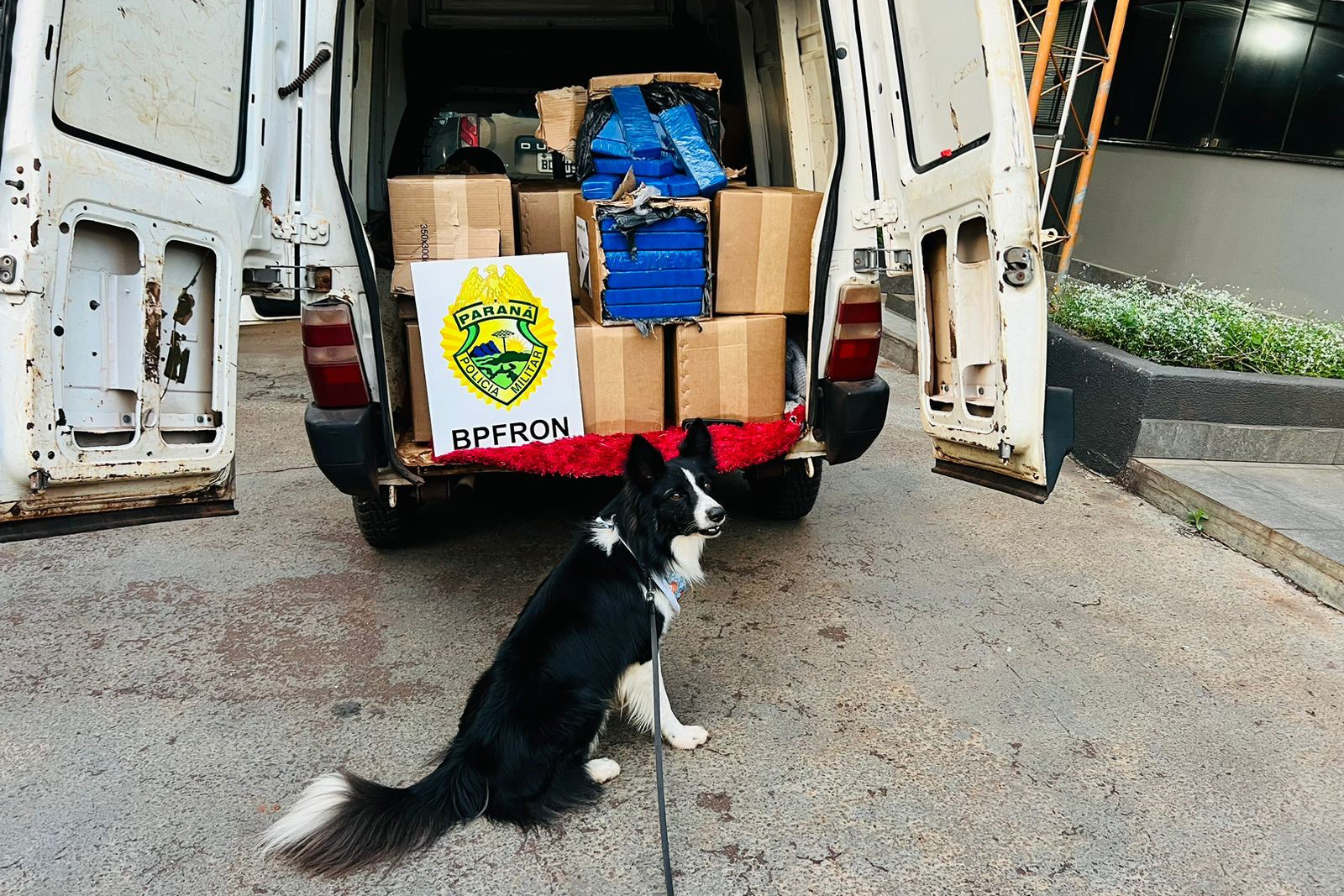 Polícia Militar apreende 488 quilos de maconha em Ouro Verde do Oeste