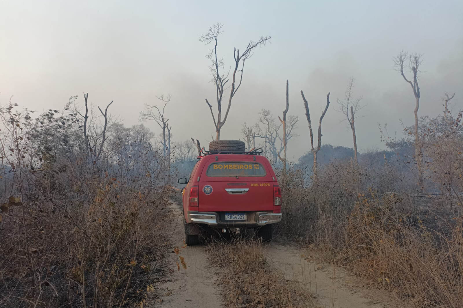 Retorno da segunda equipe de bombeiros militares encerra missão paranaense no Pantanal