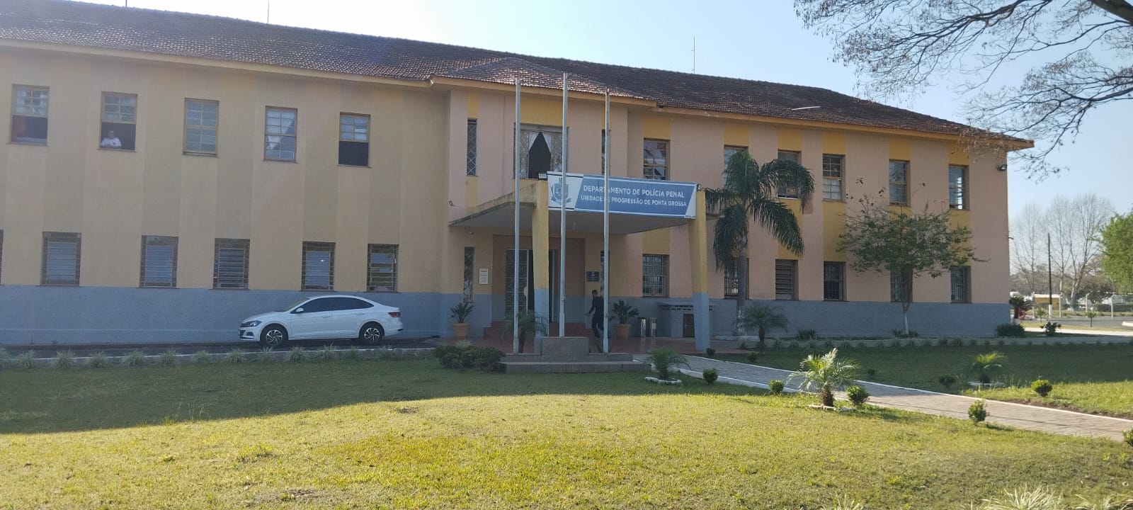 150 árvores frutíferas são plantadas em Unidade de Progressão de Ponta Grossa