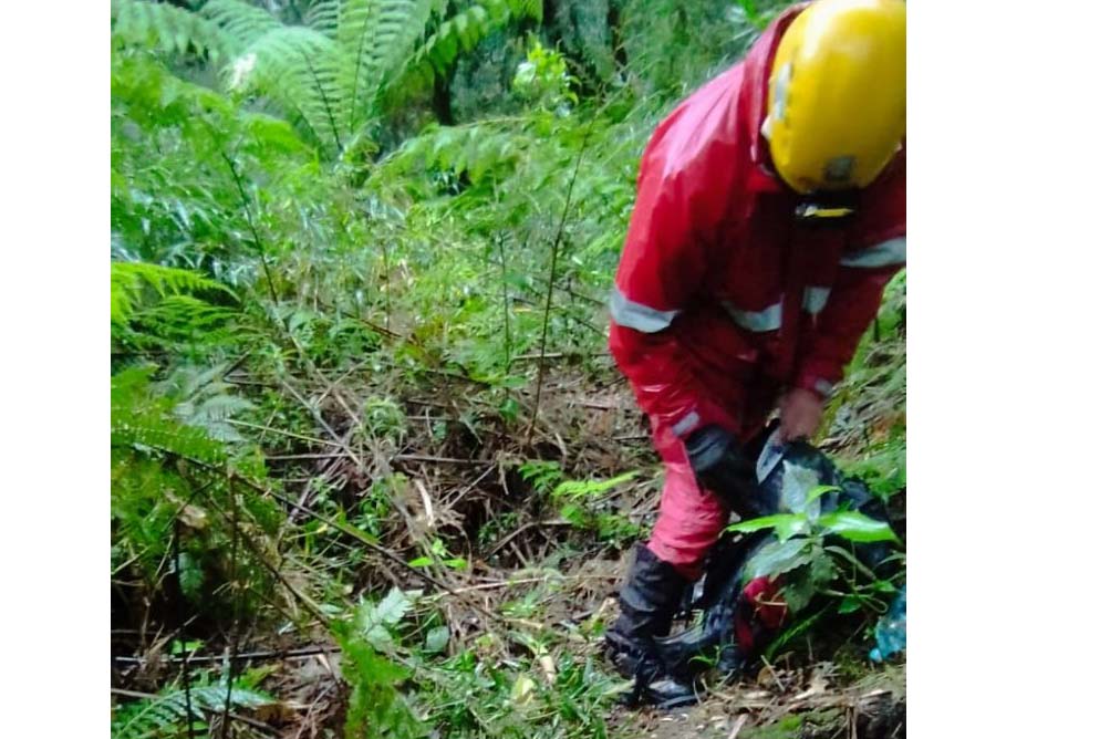CBMPR encontra jovens que estavam perdidos em trilha de Campina Grande do Sul