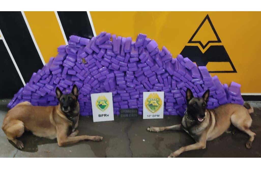 PM apreende 21 mil cigarros eletrônicos e 238 kg de maconha em rodovia de Rolândia
