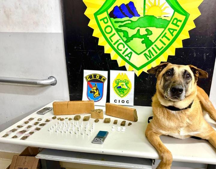 Unidades do Comando de Missões Especiais da PMPR realizam apreensões e prisões durante operação na capital
