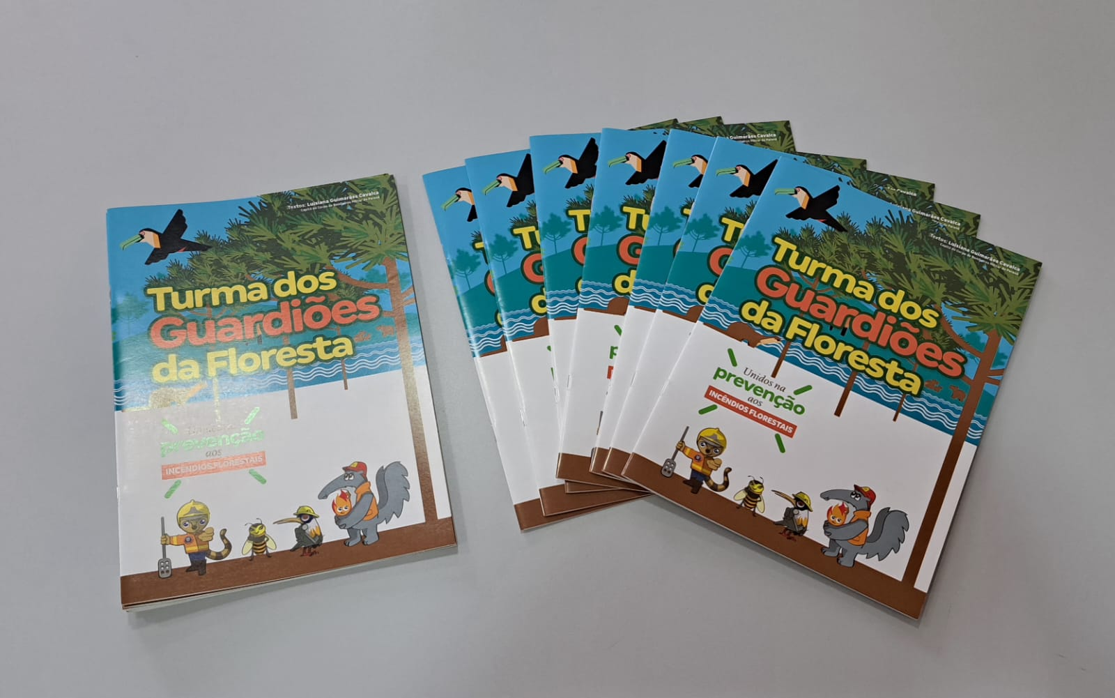 Material educativo é uma parceria do CBMPR e empresas privadas e tem texto de capitã dos bombeiros