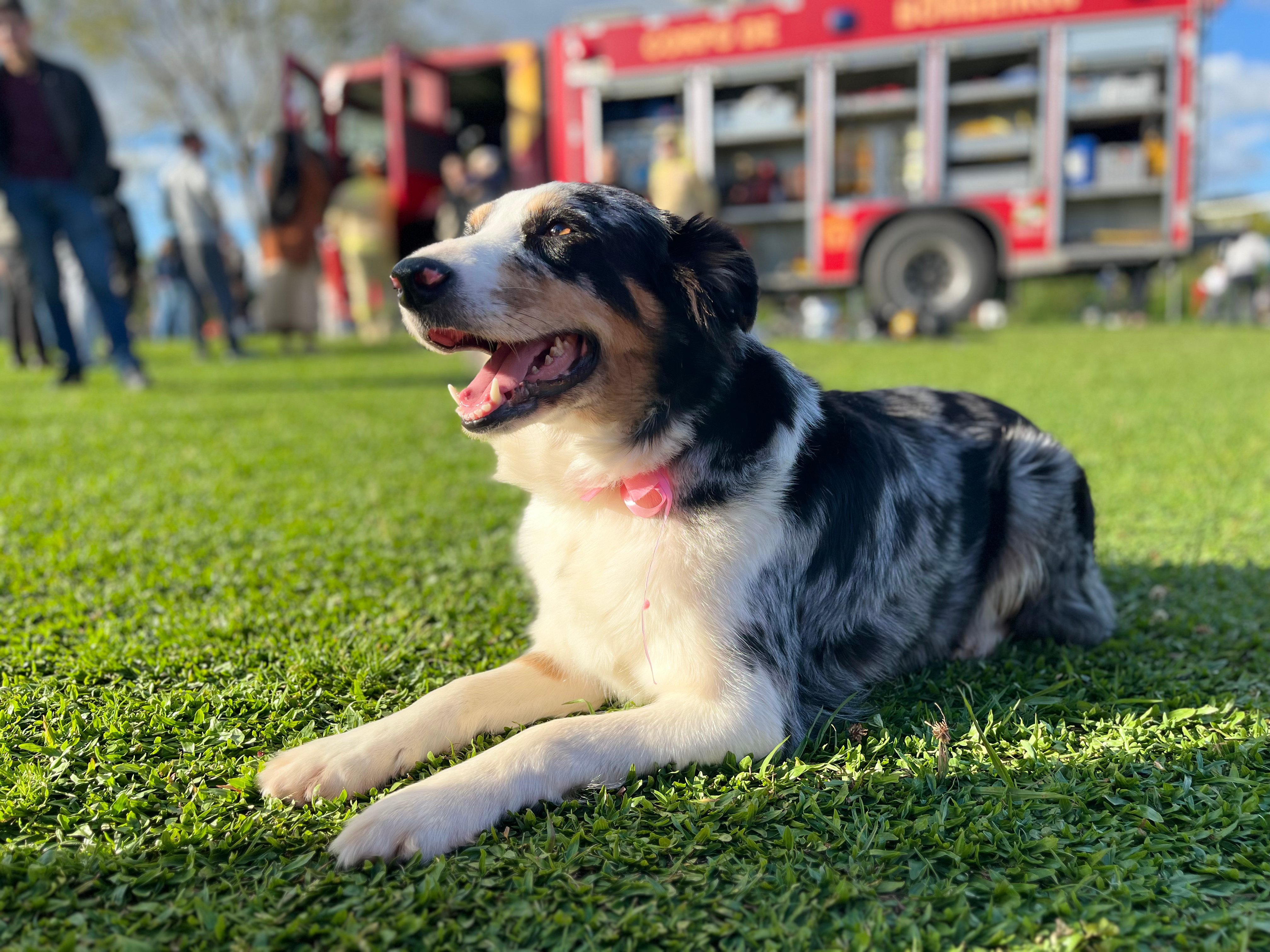 Bombeiros promovem evento para crianças em celebração aos 113 anos da corporação