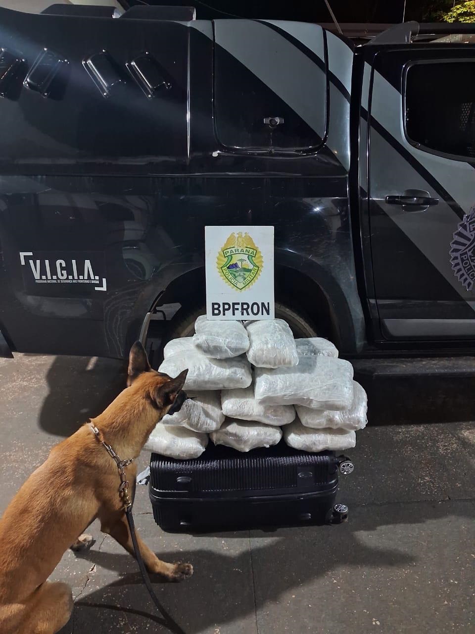 PMPR localiza 16 kg de maconha em ônibus rodoviário e prende passageiro