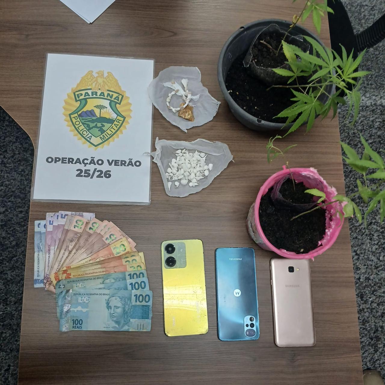 PMPR prende homem e apreende pés de maconha em Matinhos