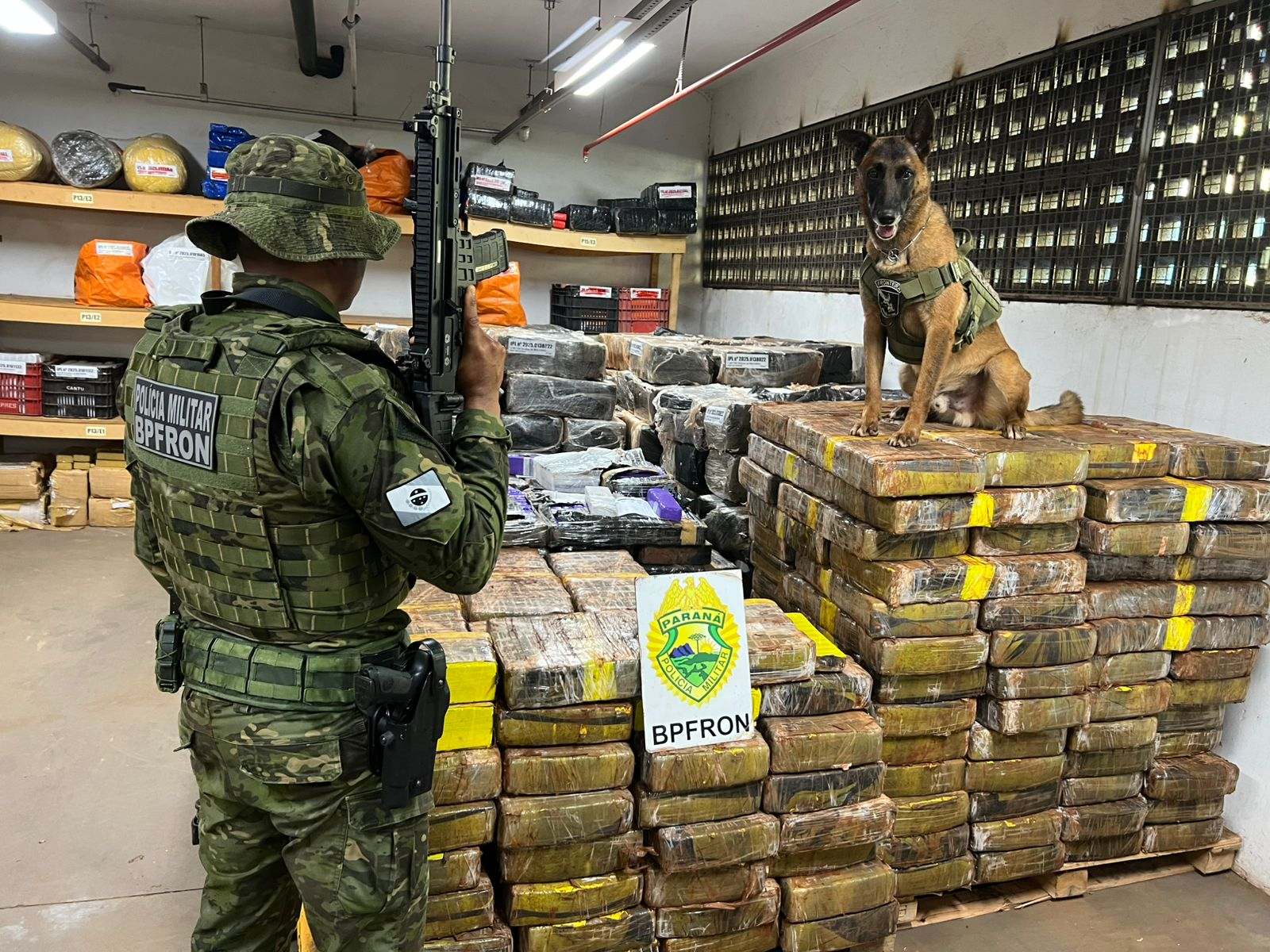 PMPR apreende 1,5 tonelada de maconha escondida em área de mata em Santa Helena