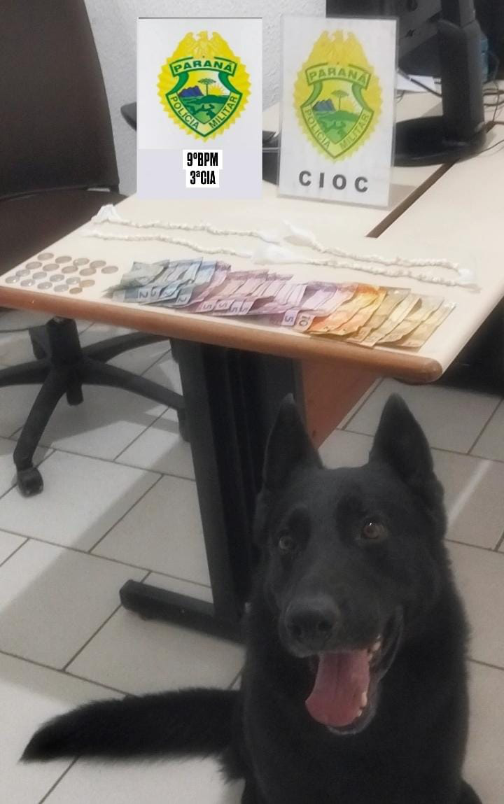 Cão farejador da PMPR encontra 110 pedras de crack durante abordagem em Guaratuba