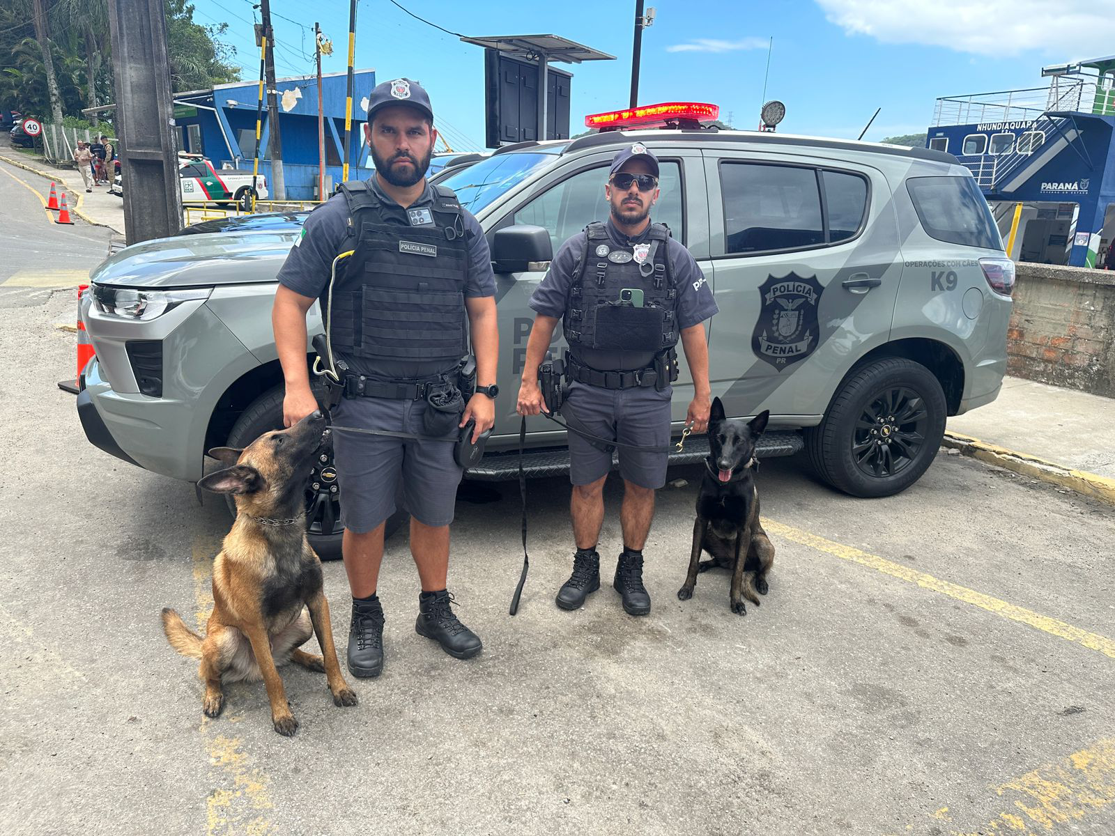 Forças de segurança realizam ação integrada com cães de faro na balsa de Guaratuba
